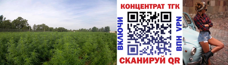 ТГК вейп  Сурск 