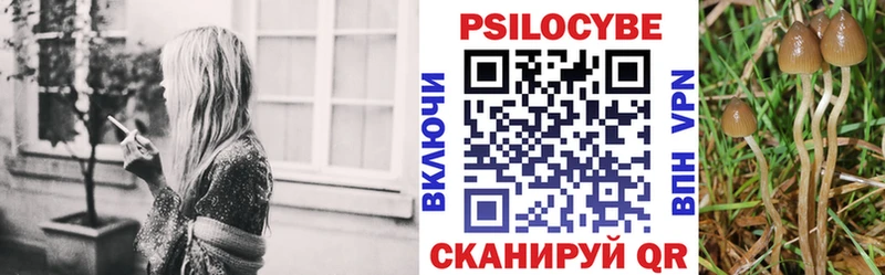 МЕГА рабочий сайт  это официальный сайт  Сурск  Псилоцибиновые грибы Psilocybine cubensis  купить наркоту 